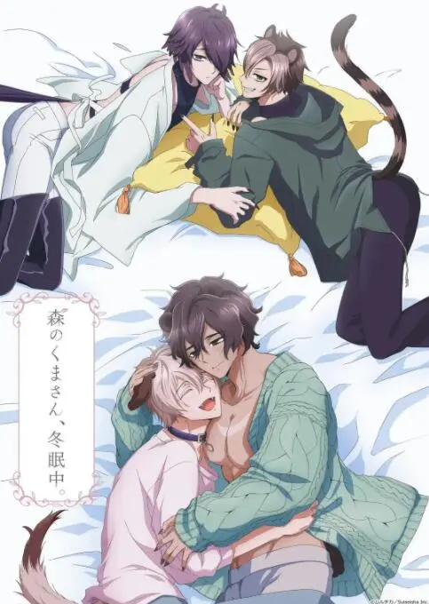 《森林里的熊先生冬眠中》：一场关于孤独、治愈和人性的冬季童话