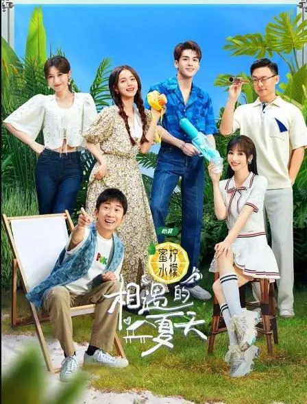 相遇的夏天纯享版 海报